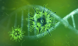 El ozono ataca al ARN del coronavirus